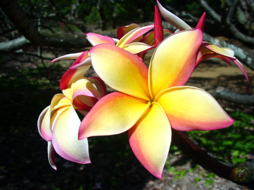 432841 (a): :1600x1200